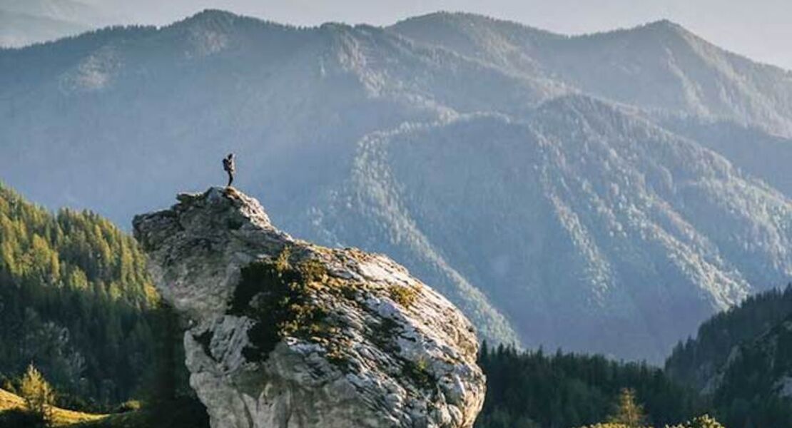 sarah-ziegler-simon-straetker-joshi-nitchell