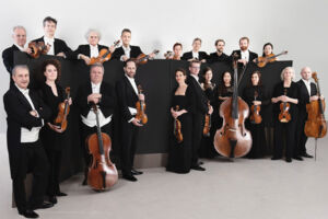 WKO Heilbronn - Niklas Liepe, Violine