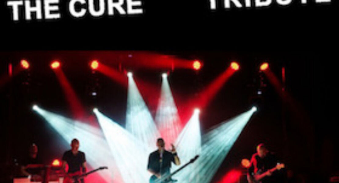 the-cure-by-curiosity