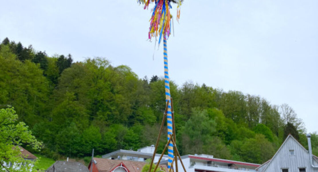 traditionelles-maibaumstellen