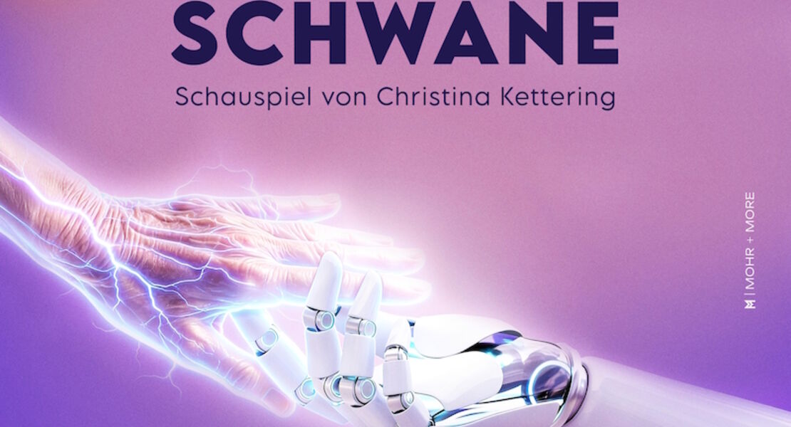 schwarze-schwane-von-christina-kettering