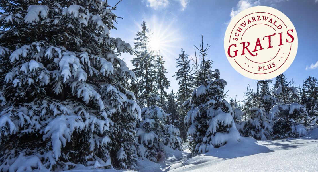 wanderung-im-winterwald-tonbachtal