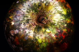 Shades of Calw: ArsCubis