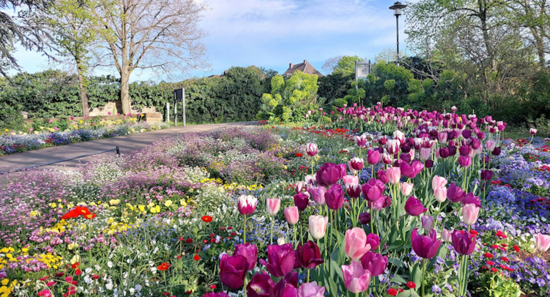 rosa-fruhlingszauber-stadtgeschichten-mit-mandel-cocktail