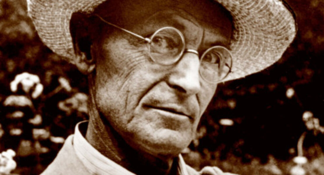 gerbersauer-lesesommer-2026-beobachtetes-erlebtes-und-erfahrenes