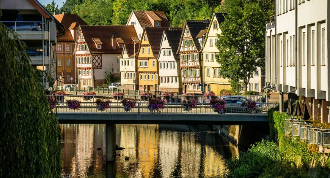 vom-schwarzwald-nach-holland-die-hollandertannen