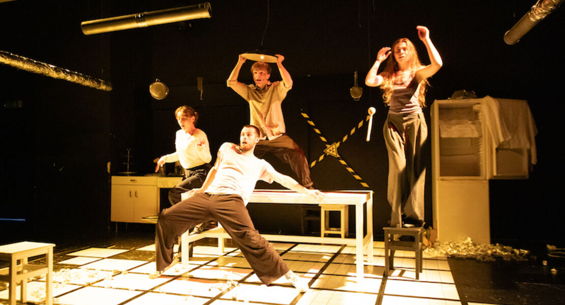 karaluchy-kakerlaken-kreationen-i