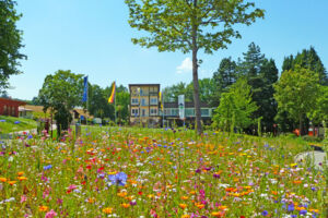 Sonneninsel Streetfood Sommer | 1. Juliwochenende mit Lekka Catering