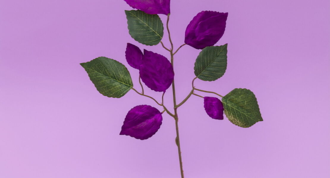 blutbuch-schauspiel-nach-dem-roman-von-kim-de-lhorizon