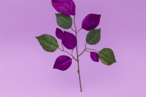 BLUTBUCH - Schauspiel nach dem Roman von Kim de l`Horizon