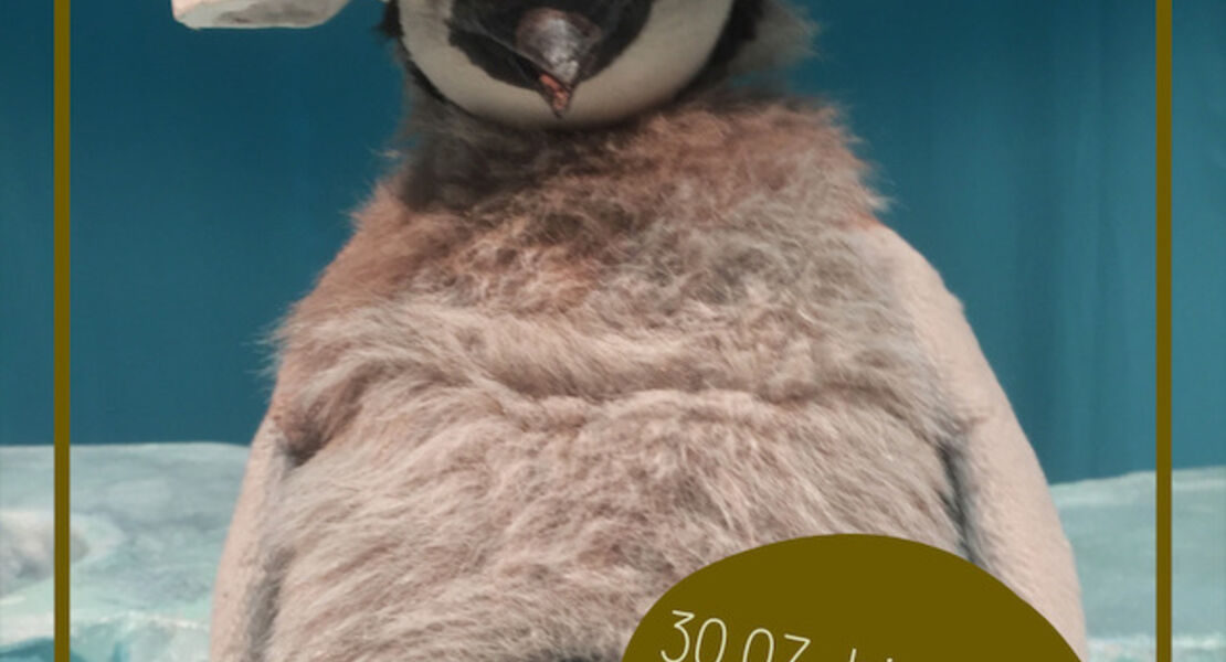 sommerfest-2026-pit-pinguin-ab-3-jahren