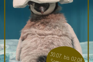 Sommerfest 2026 - Pit Pinguin (ab 3 Jahren)