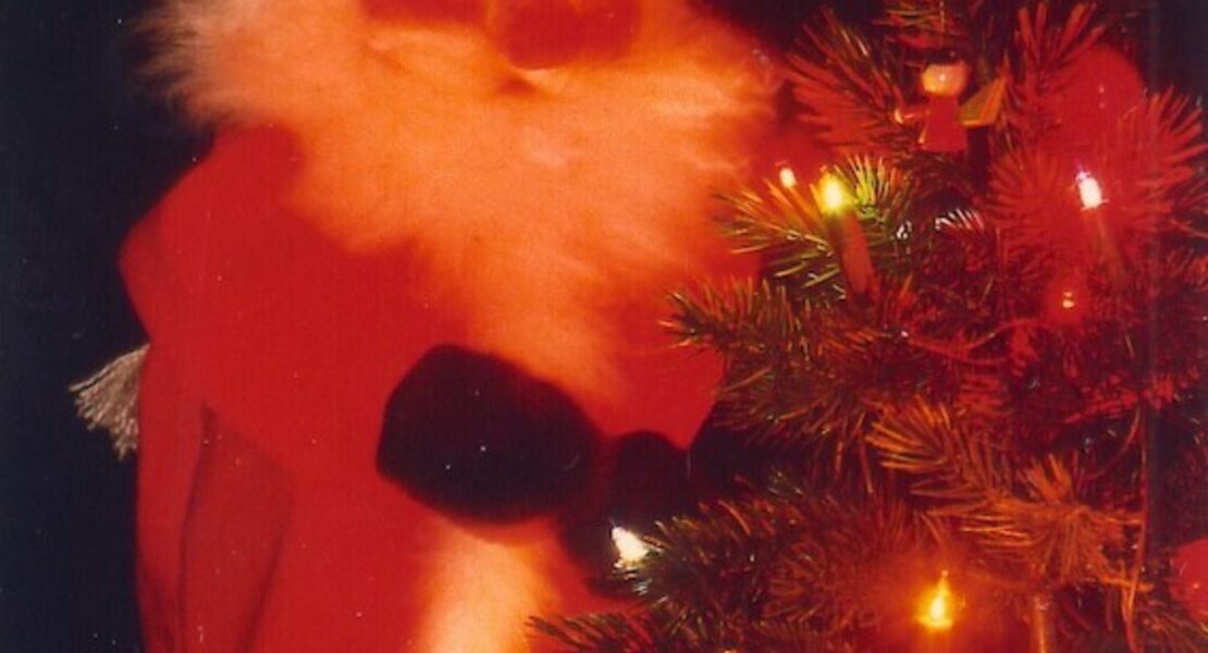 kasper-und-der-weihnachtsmann-handpuppenspiel-fur-kinder-ab-vier-jahren