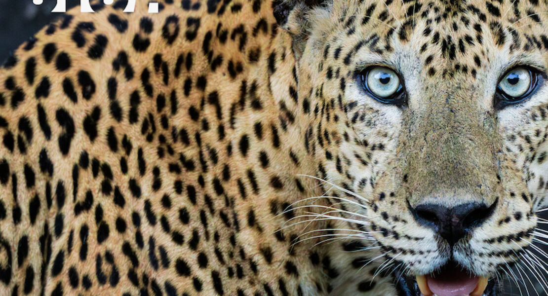 ask-nettinsdorf-foto-gemeinschaftsausstellung