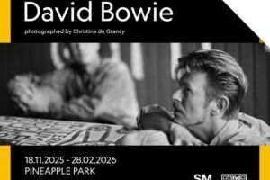 A Day with David Bowie - Flex-/Geschenkticket