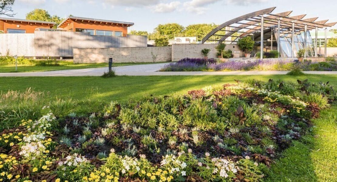 kurparkfuhrung-was-bluht-denn-da