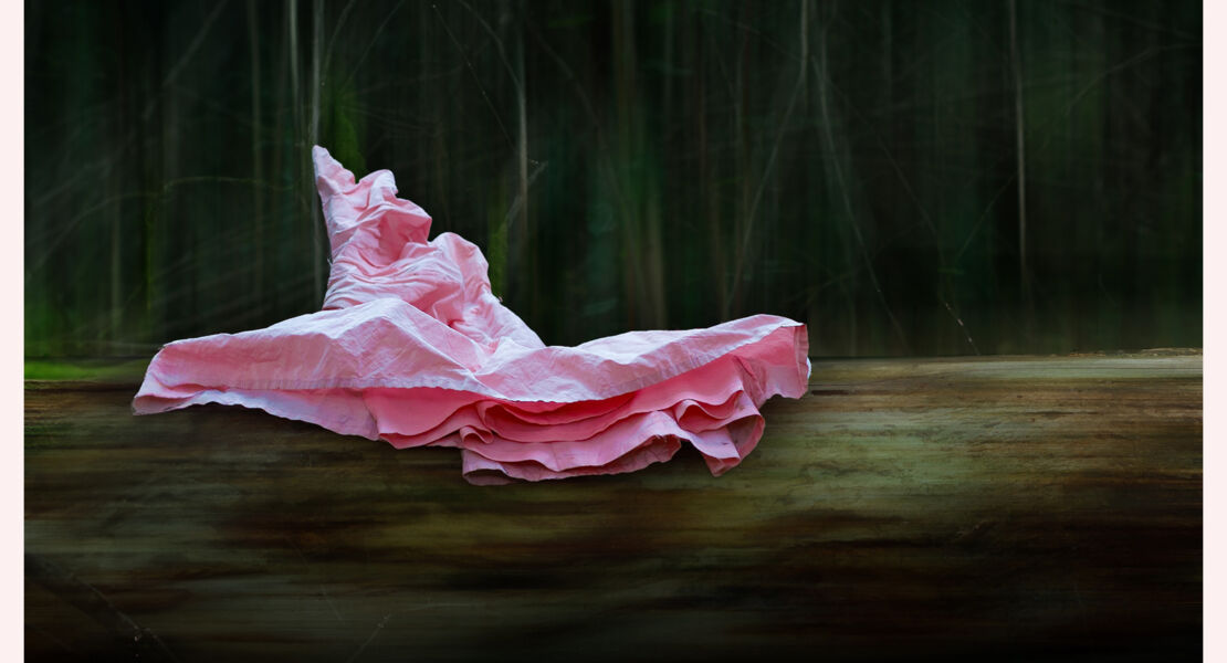 waldkleid-lyrik-und-fotografie