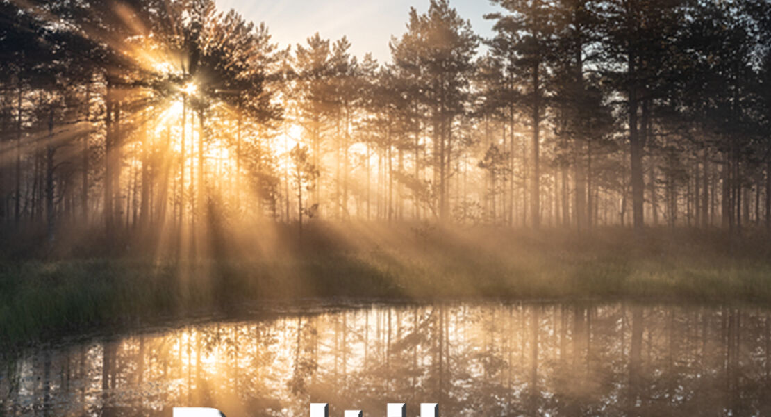 baltikum-estland-lettland-litauen-konigsberg