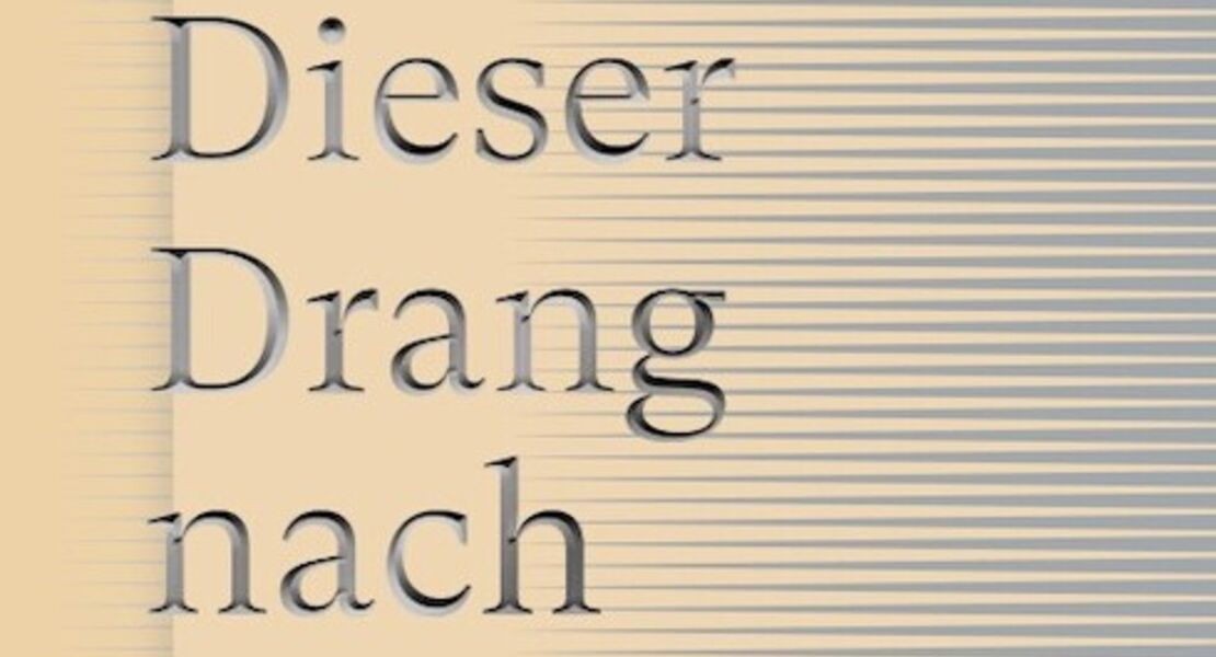 dieser-drang-nach-harte-eva-von-redecker