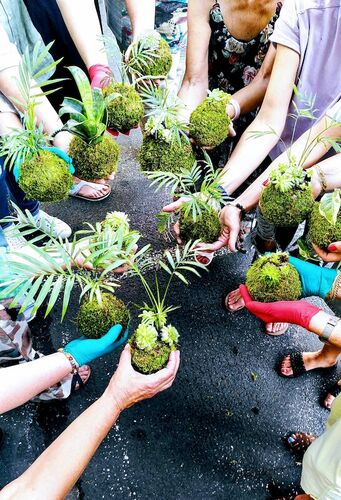 kokedamas-pflanzenkugeln-mit-einem-hauch-von-zen