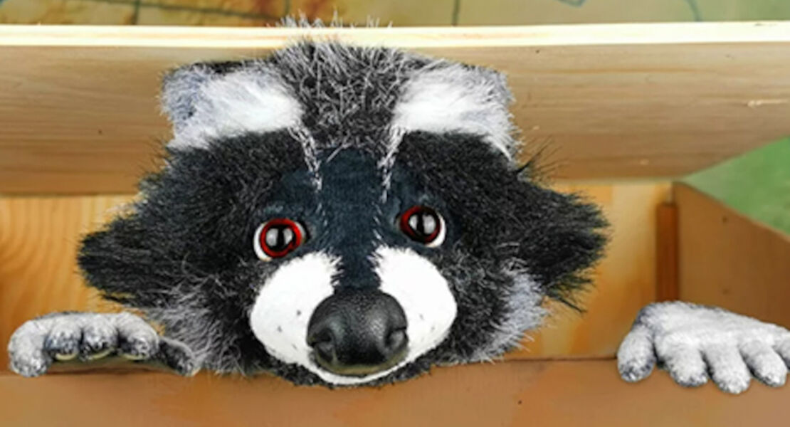 marotte-theater-rocky-waschbar