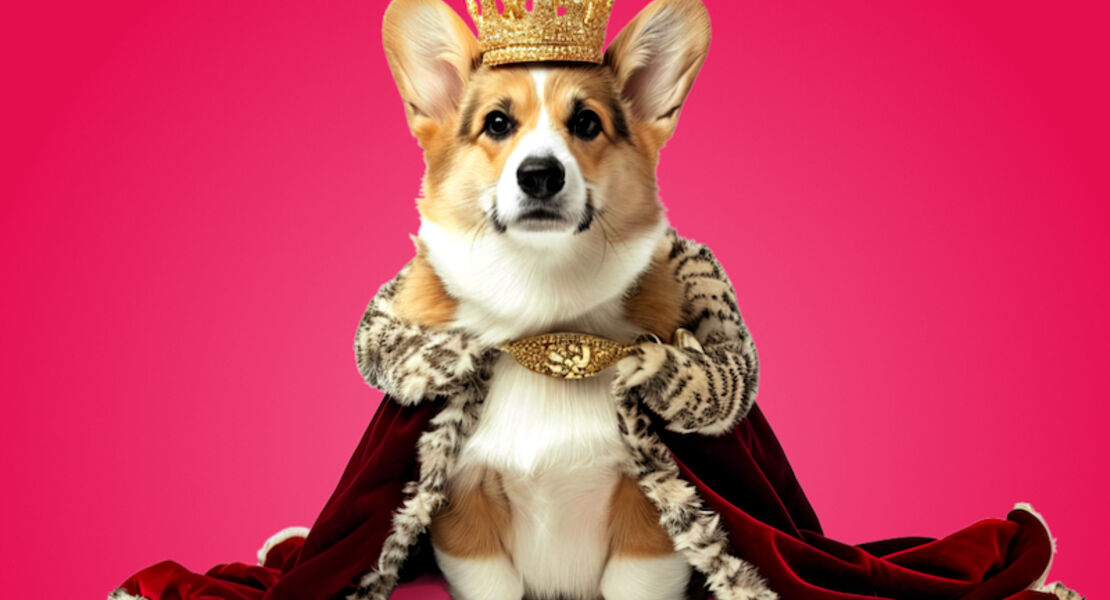 royals-komodie-von-felix-krakau