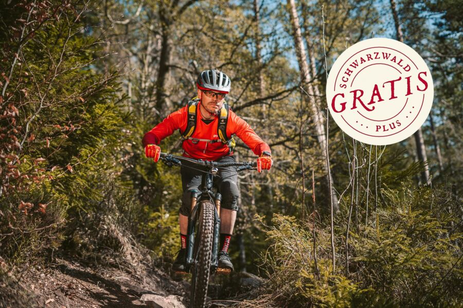 jede-menge-trails