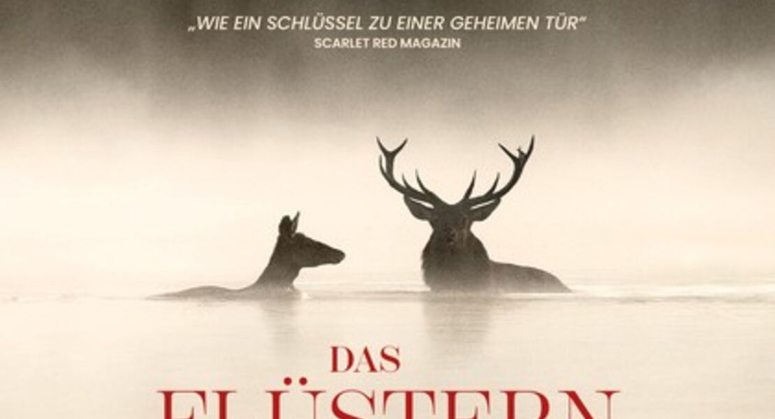 das-flustern-der-walder