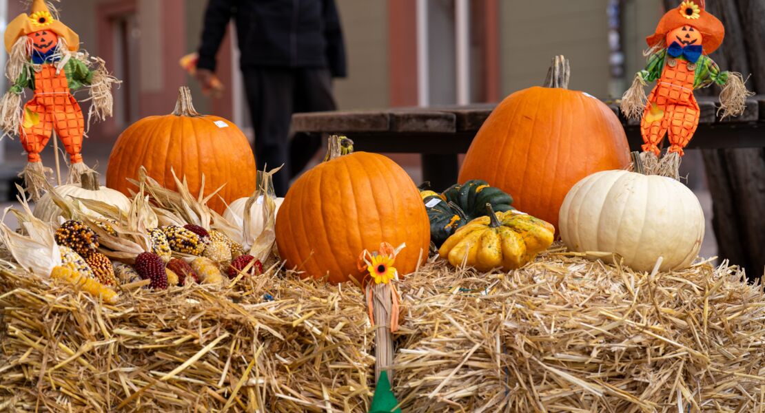herbstmarkt-mit-verkaufsoffenem-sonntag-ettlingen