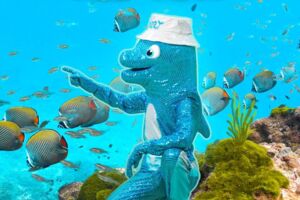 Dizzy Disco - Aqua Party