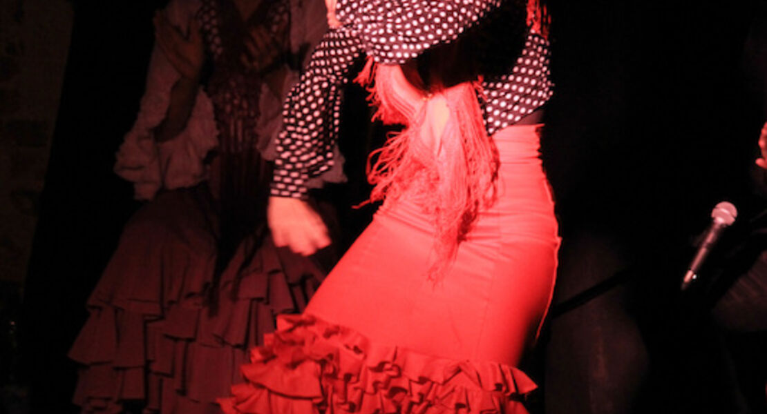 flamenco-del-sur-el-pasaje-flamenco