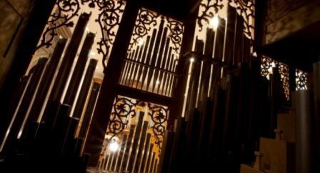 fuhrung-durch-die-orgelsammlung