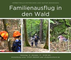 Herbstwald - Familienzeit