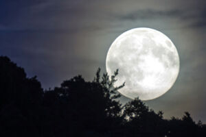Vollmondwanderung