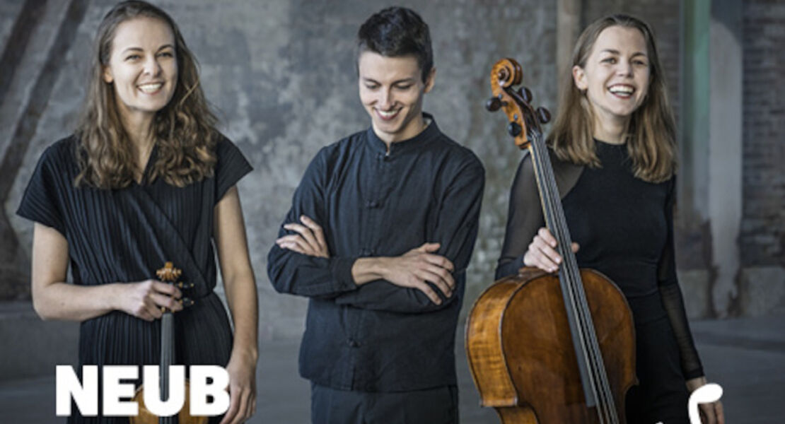 8-sinfoniekonzert