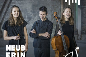 8. Sinfoniekonzert