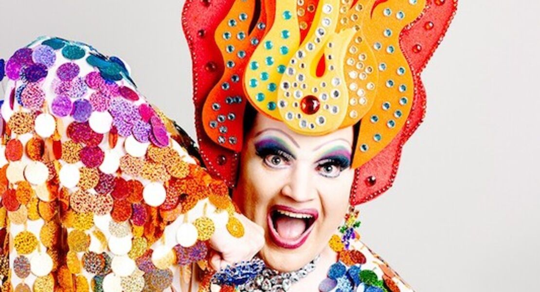 die-regenbogenhummel-schneerose