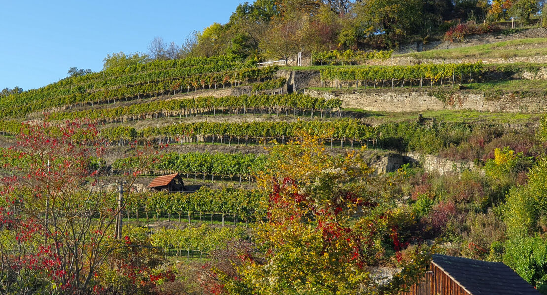 walder-wiesen-wasser-werkstein-und-wein