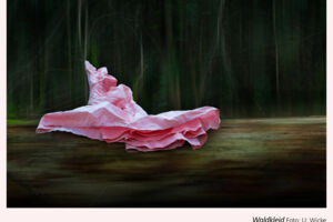 Waldkleid – Lyrik und Fotografie