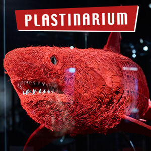 plastinarium-ticket-gutscheine