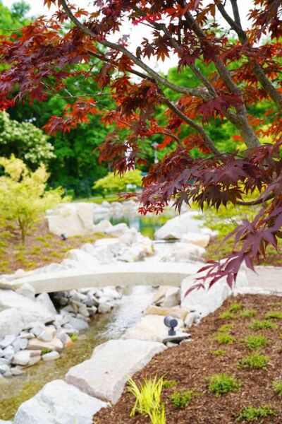 fuhrung-durch-den-japanischen-garten-in-bad-krozingen