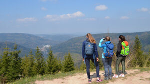 Geführte Wanderung | Oberes Gaistal - Stechlaubbrunnen - Gaisbrunnen