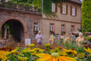 Das Gartenfest Laubach