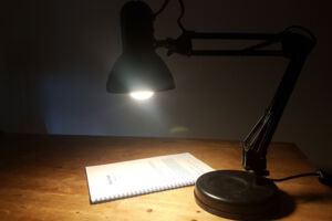 Alle unter einem Himmel: Die Alaunpark-Monologe Teil II - Eine Aufführung des Lesetheaterprojekts