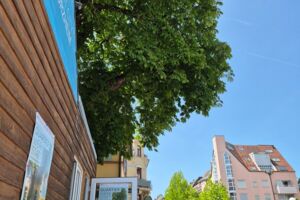 QuartierWerkstatt: „Als ich noch klein war“