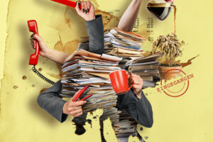 Der Fiskus - Felicia Zeller