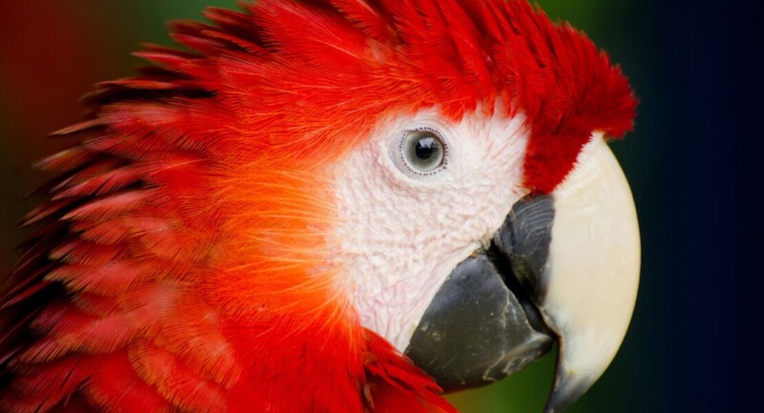 wunderwelten-im-augustinum-kolumbien-live-reportage-von-und-mit-immanuel-schulz