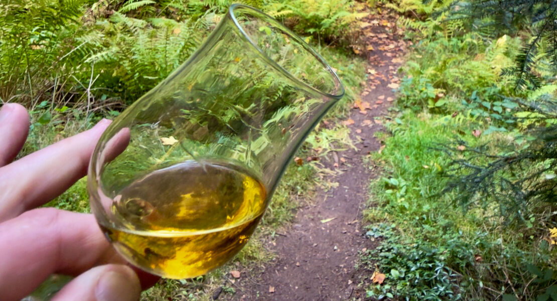 whisky-wandern-weitblick-whiskywanderung-in-schomberg