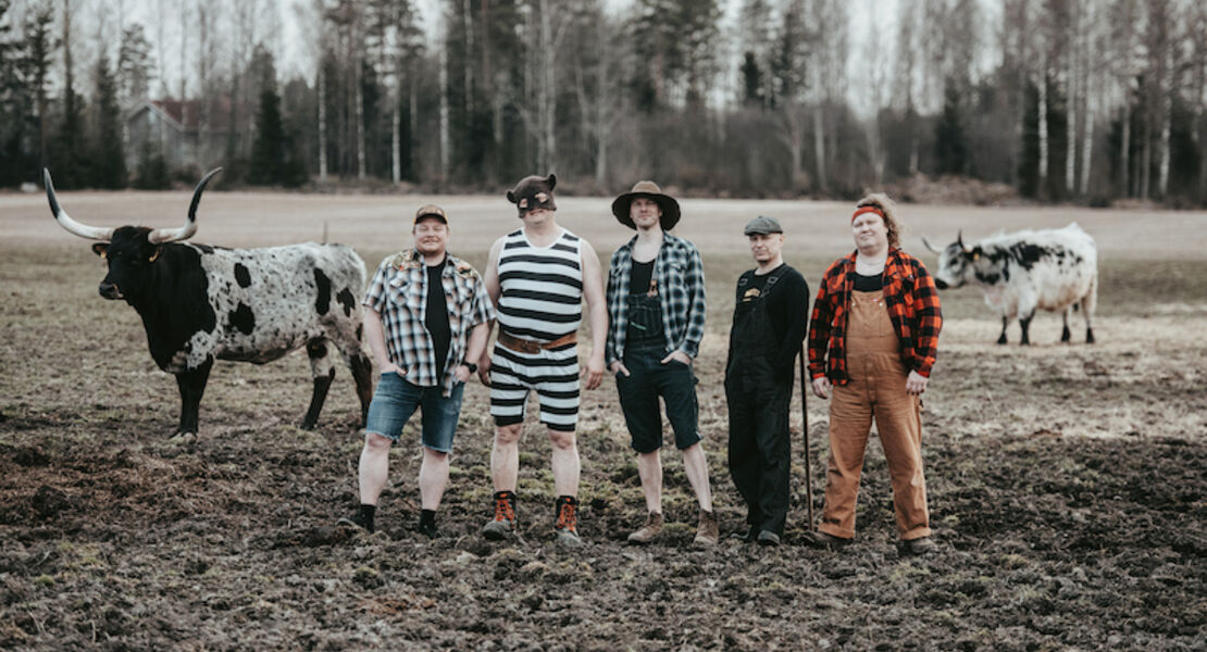 steve-n-seagulls-dark-side-of-the-moo