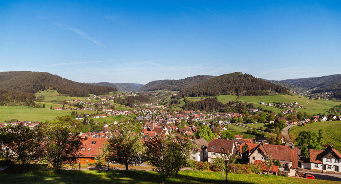 gefuhrter-ortsrundgang-durch-baiersbronn